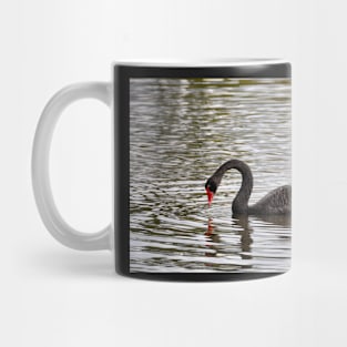 Nouvelle Zélande - Rotorua, cygnes noirs Mug